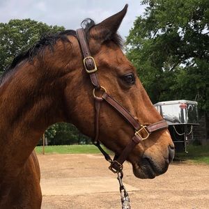 Meet your Posher, Grace